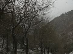 -抱龙峪