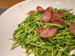 鸡油腊味炒豆苗-潮界(大学路店)