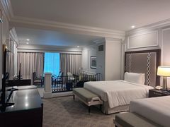 -澳门威尼斯人综合度假区