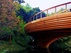 -云溪植物园