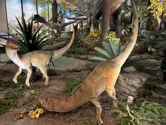 -湖南省地质博物馆