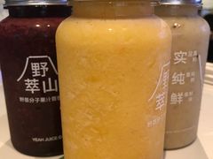 -野萃山·潮汕厚果汁(十亩地店)