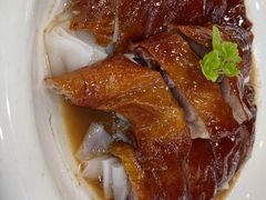 -绿雅居原生态农庄(小涌店)