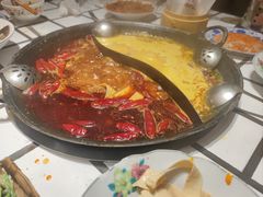 -朱光玉火锅馆(正弘城店)