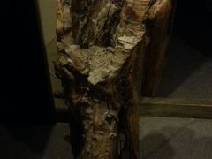 -山水悦茶会所(上海沙龙新天地天宝商业中心店)