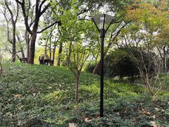-徐家汇源景区-衡山公园