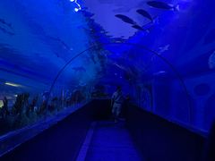 -成都浩海立方海洋公园