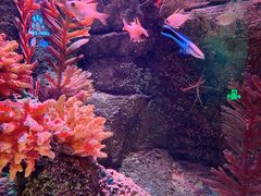 -沈阳海洋探索中心