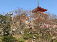 -有栖山 清光院 清水寺
