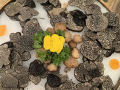 -芸山季·云南野生菌火锅(南翔印象城MEGA店)