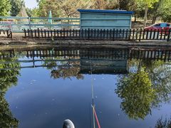 -酷鱼垂钓CLUB(朝阳区博大路店 )