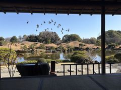 -水前寺成趣园