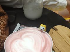 -逗柴咖啡屋·狗咖猫咖宠物桌游