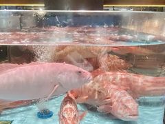 -阿伟海鲜楼·福建菜(延寿店)