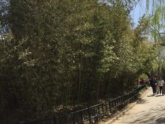 -紫竹院公园冰场