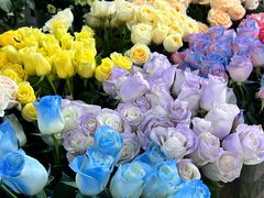 -循礼门鲜花花市(武汉循礼门店)