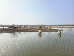 -宁波杭州湾国家湿地公园