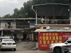 -天强农家菜馆