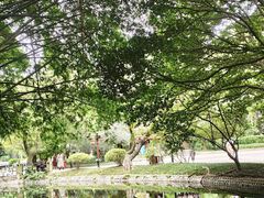 -钢管厂五区小郡肝串串香(奥克斯广场锦城万达店)