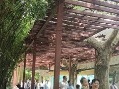 -成都动物园