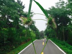 -南京金牛湖风景区