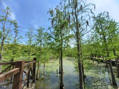 -同里国家湿地公园