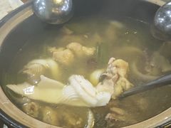 -15年老字号鑫鑫猪肚鸡·椰子鸡海南火锅(兴隆华侨农场店)