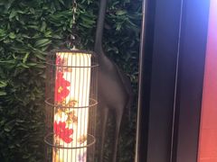 -洛阳白云山景区