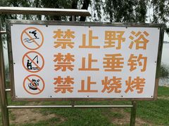 -丁香湖公园