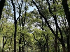 -宁波市保国寺古建筑博物馆