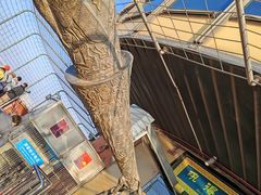 -中央广播电视塔