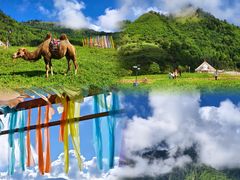 -硗碛藏寨·神木垒景区