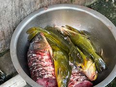 -金台阶鱼馆(于桥水库店)