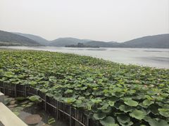 -南北湖风景区