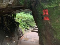 -碧峰峡风景区