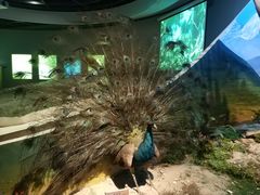 -陕西自然博物馆