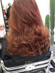 -SALON V