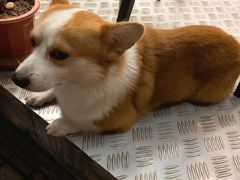 -小梁哥云吞面(黄贝岭店)