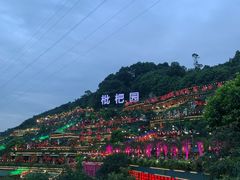 -枇杷园食为鲜火锅(南山店)