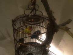 -小厨娘淮扬菜(六合欢乐港店)