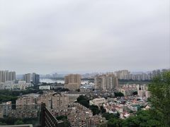 -福道
