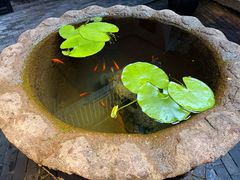 -31号公馆(黄兴广场白果园店)