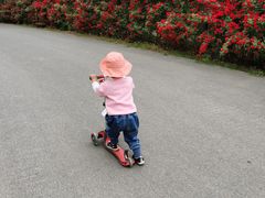 -永定河休闲森林公园