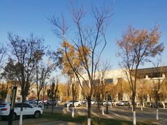 -北京国家会计学院