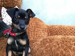 -厦门燕子坞客栈