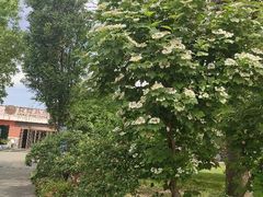 -山西辰憬国际高尔夫俱乐部