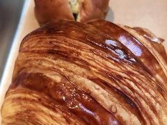 -WHEN PIGS FLY当猪飞