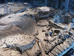 -自贡恐龙博物馆