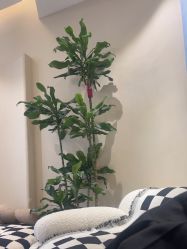 -KONSISTANT科思坦汀问题肌·科技美肤