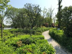-苏州太湖国家湿地公园